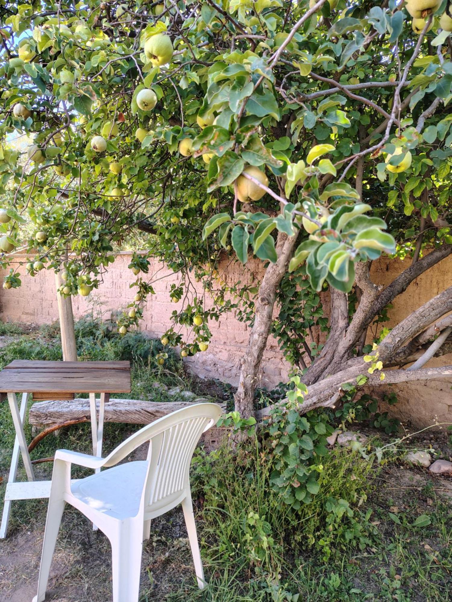 Inti Sayana Hostel Humahuaca Εξωτερικό φωτογραφία